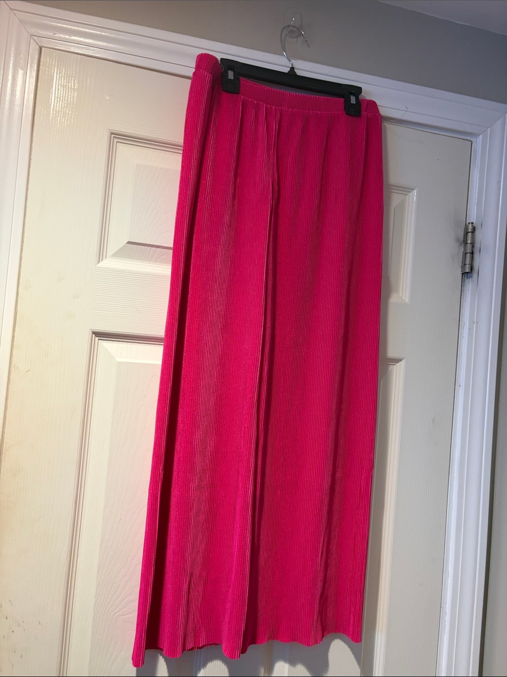 Pleated Wide Leg Pants in Fuscia M